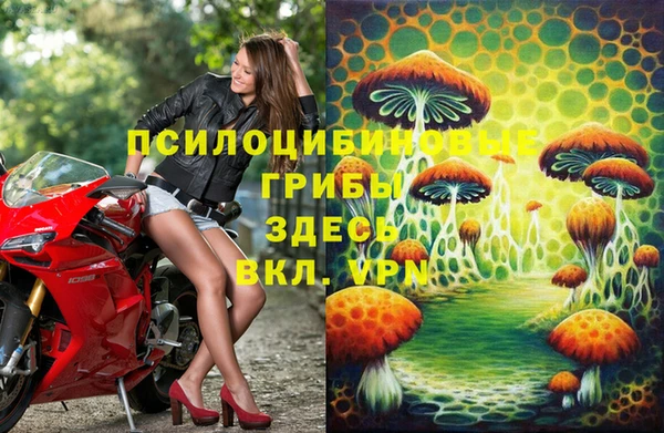 эйфоретик Михайлов
