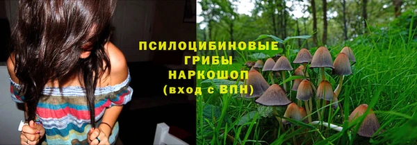 тгк Михайловка