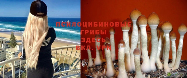 тгк Михайловка