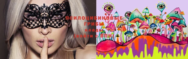 тгк Михайловка