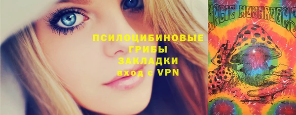 mdpv Медвежьегорск